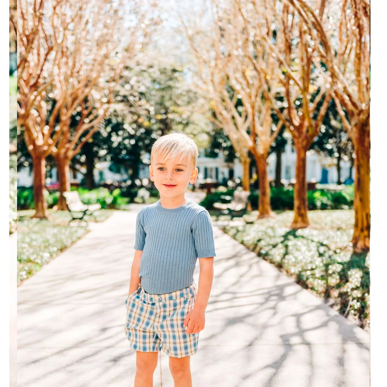 Panther Indigo Plaid shorts - Image 2