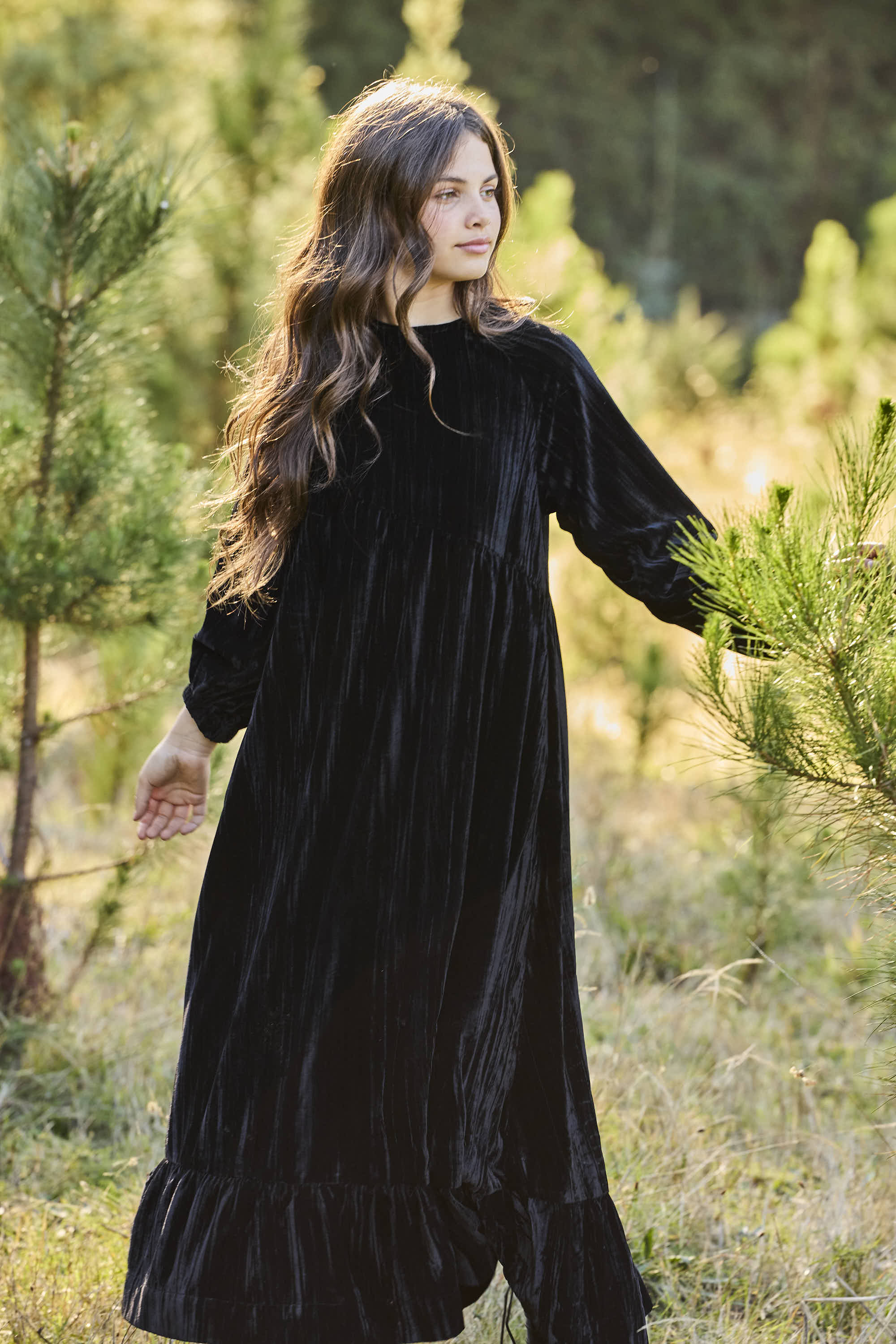 Pashmini Black Chloe Crushed Velvet Maxi