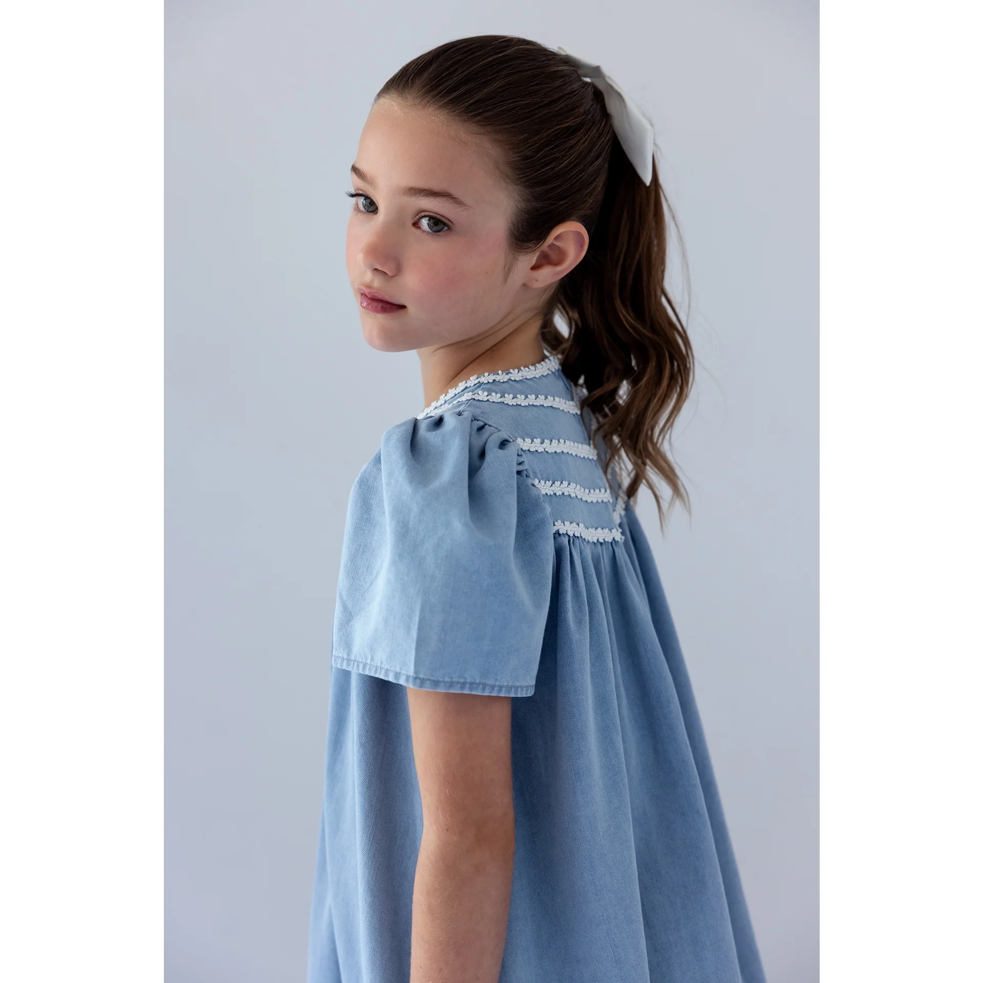 Steph Light Chambray Daisy Chain Dress (8211D) - Image 3
