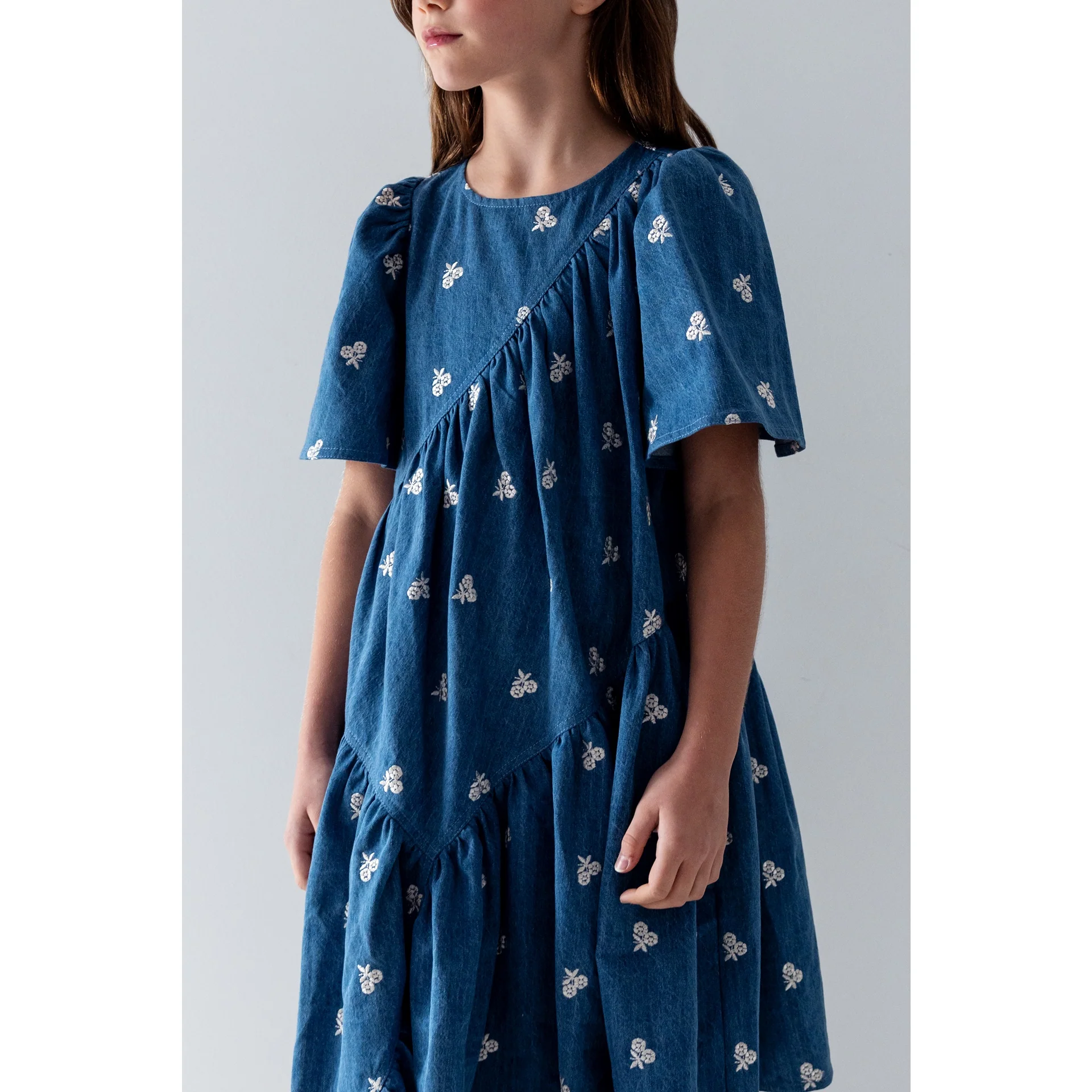 Steph Embroidered Bud Chambray Dress (8246D) - Image 2