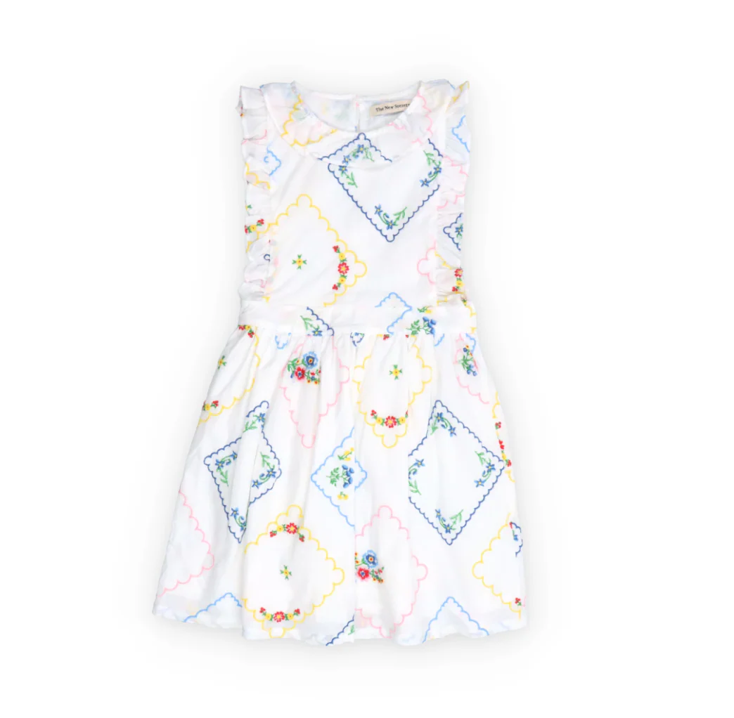 The New Society - Jacinthe Special Dress Multicolor Embroidery