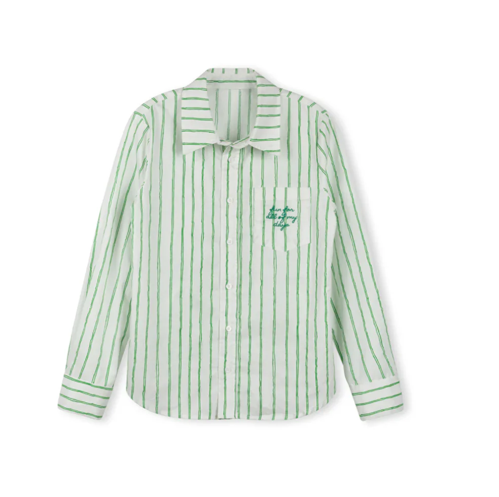 Vibe Sketch Pinstriped Embroidered Blouse - green Stripe