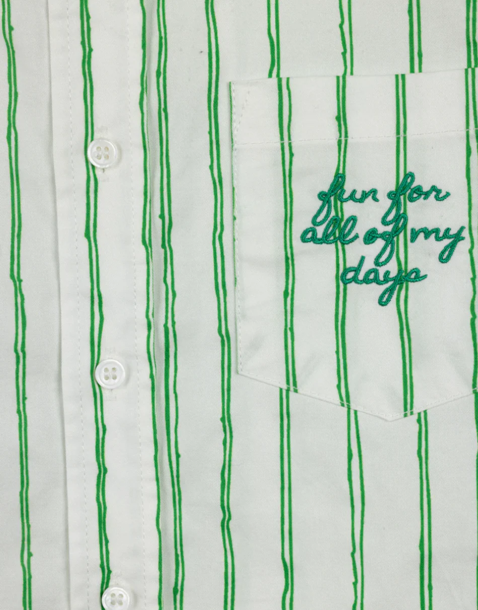 Vibe Sketch Pinstriped Embroidered Blouse - green Stripe - Image 2